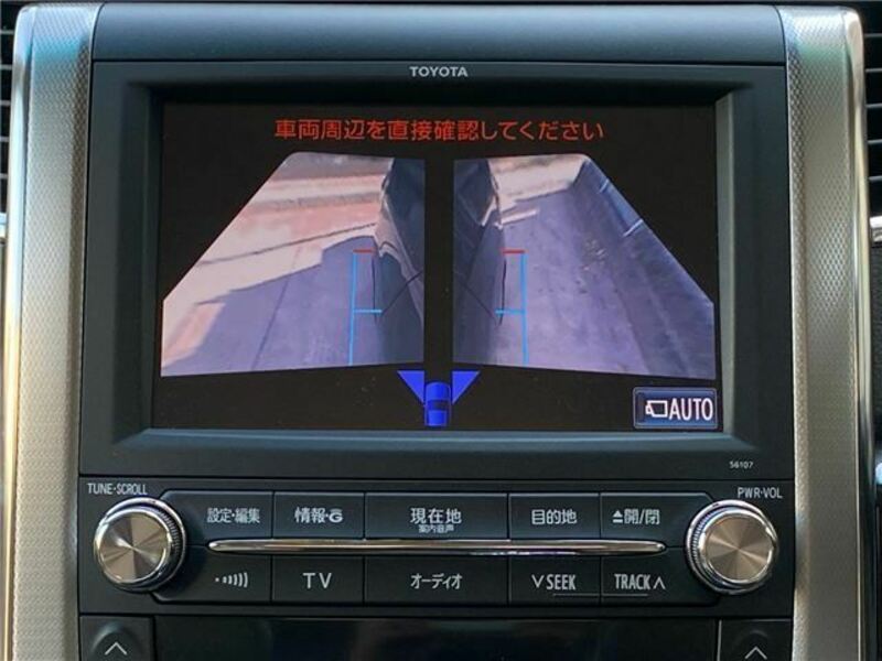 ALPHARD-39