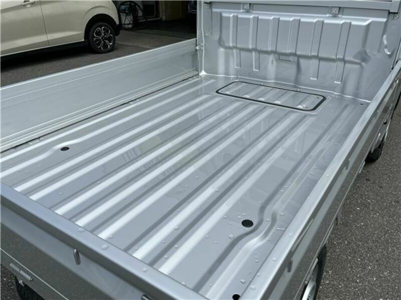 CARRY TRUCK-9