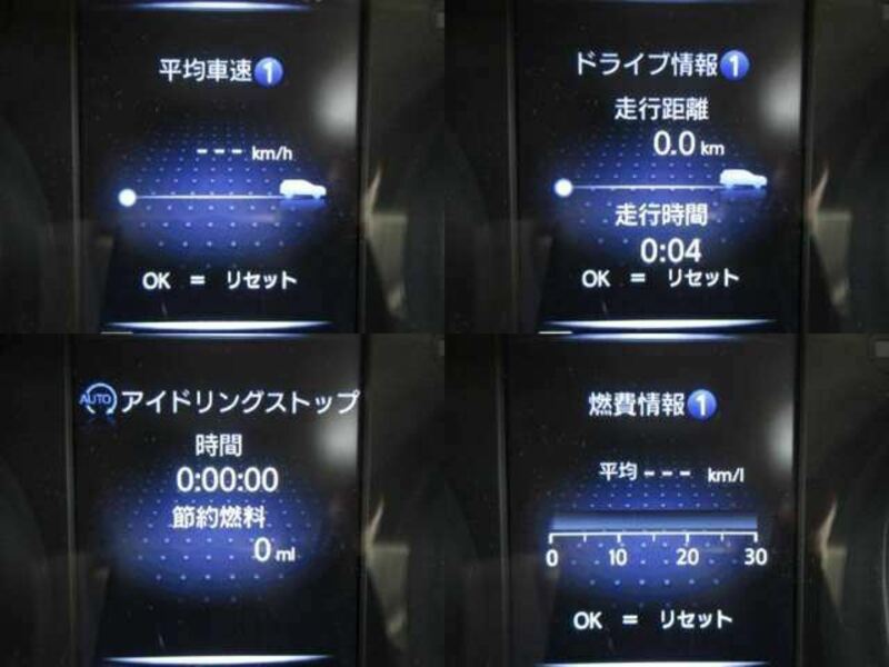 X-TRAIL-10