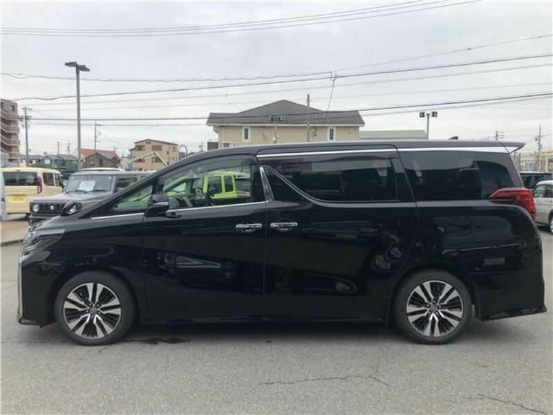 ALPHARD-7