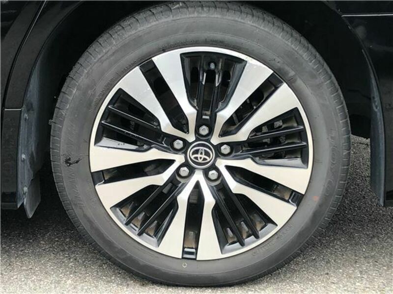 ALPHARD-10