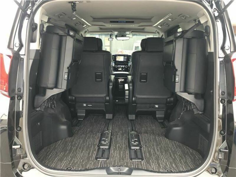 ALPHARD-11