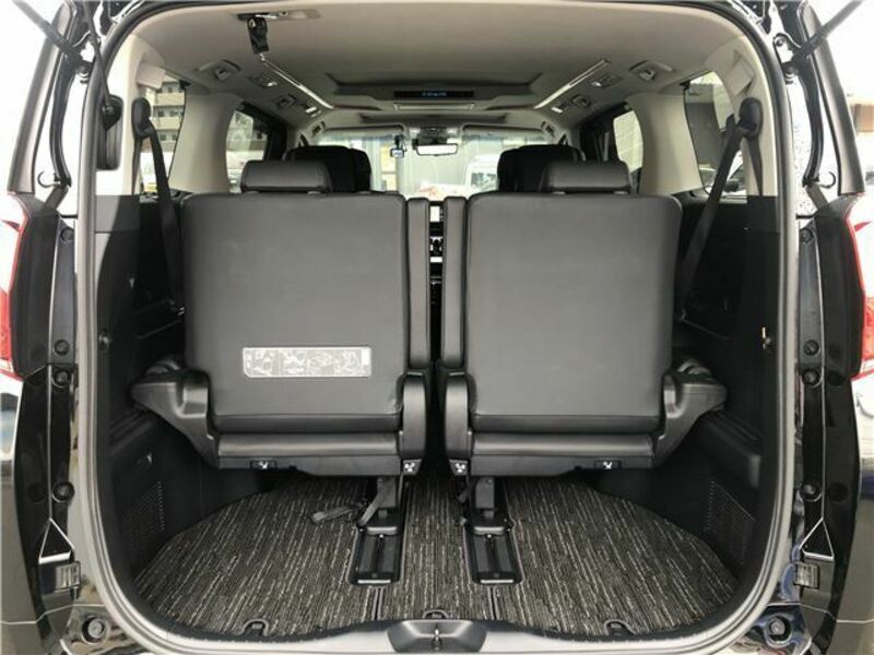 ALPHARD-12