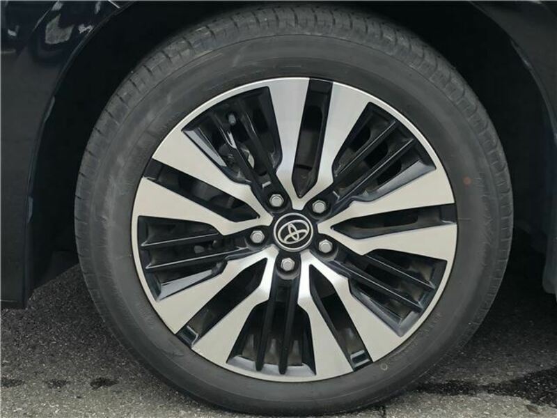 ALPHARD-14