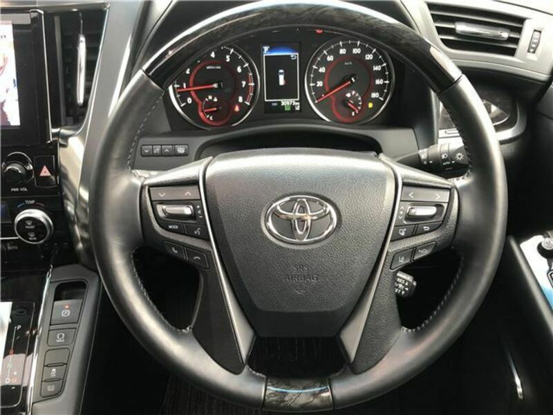 ALPHARD-45