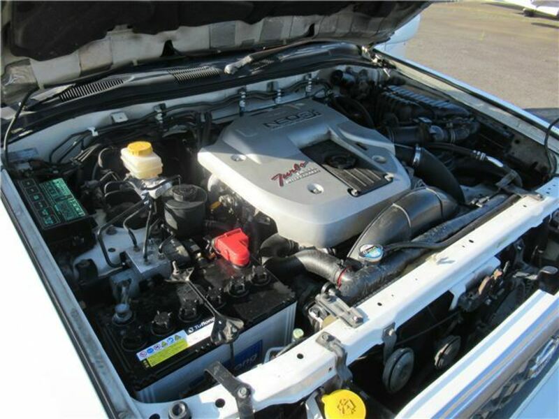 TERRANO-43
