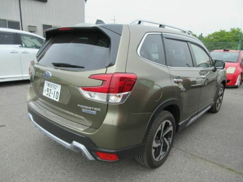FORESTER-1