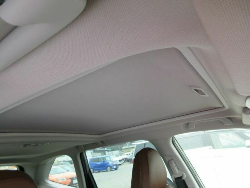 FORESTER-5