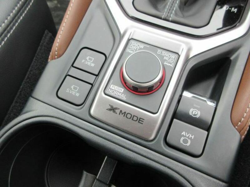 FORESTER-7