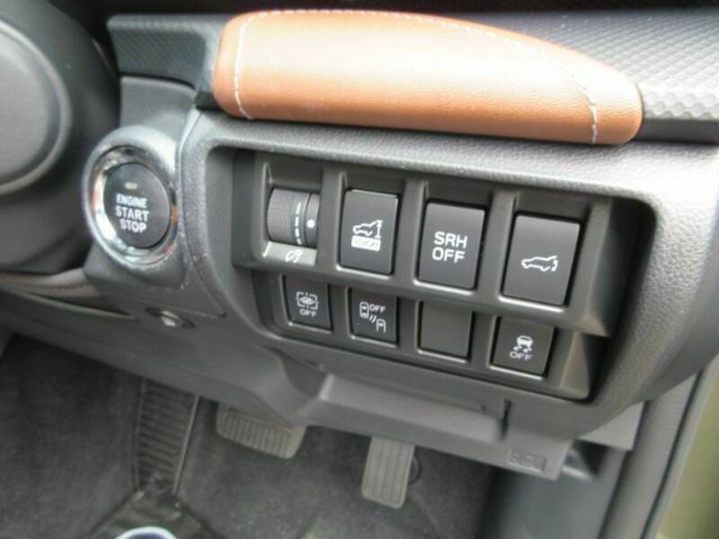 FORESTER-9