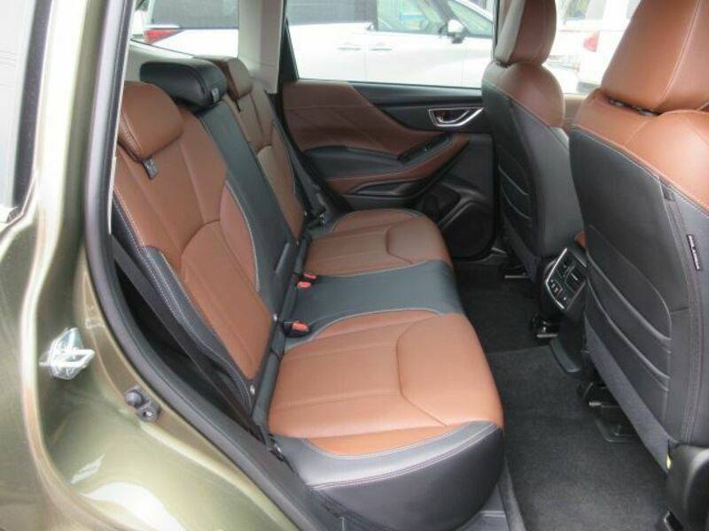 FORESTER-10