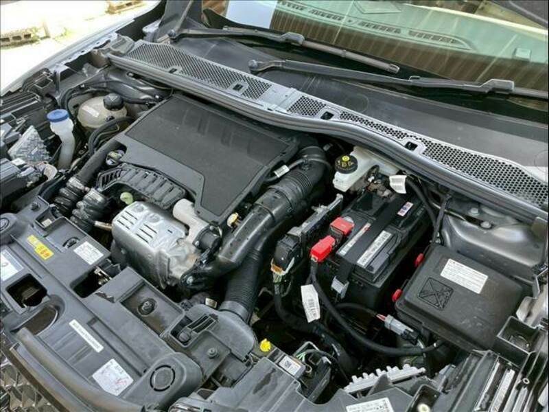 DS3-11