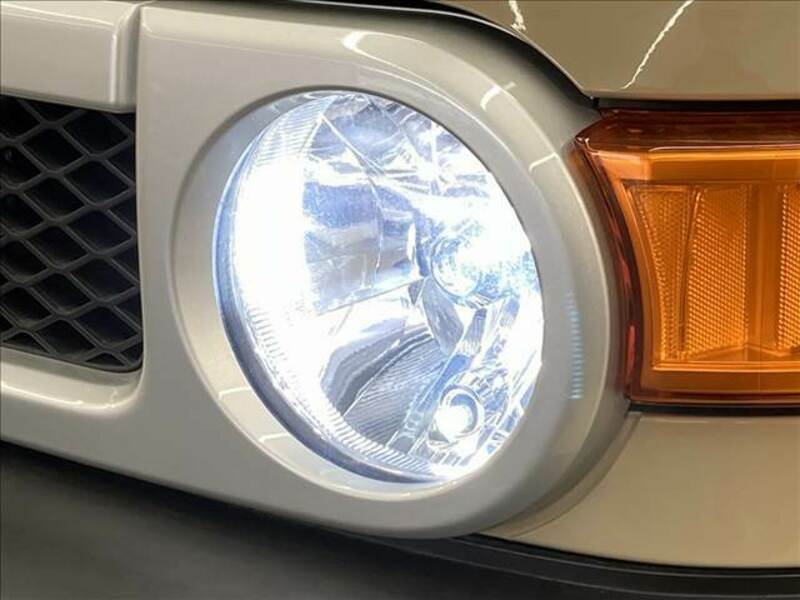 FJ CRUISER-19