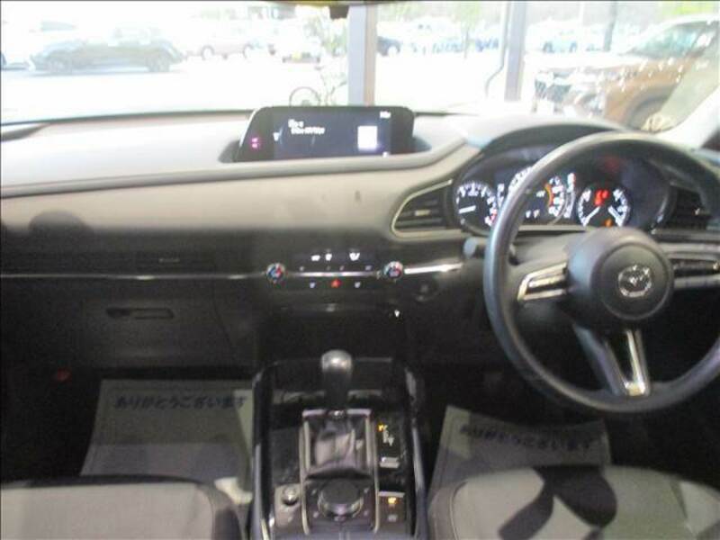 CX-30-1
