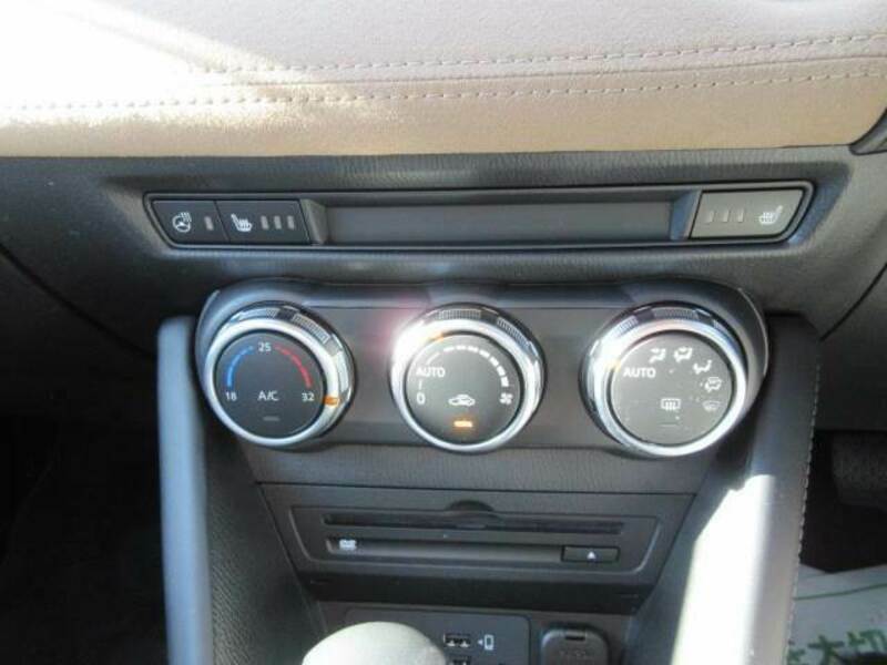 CX-3-10