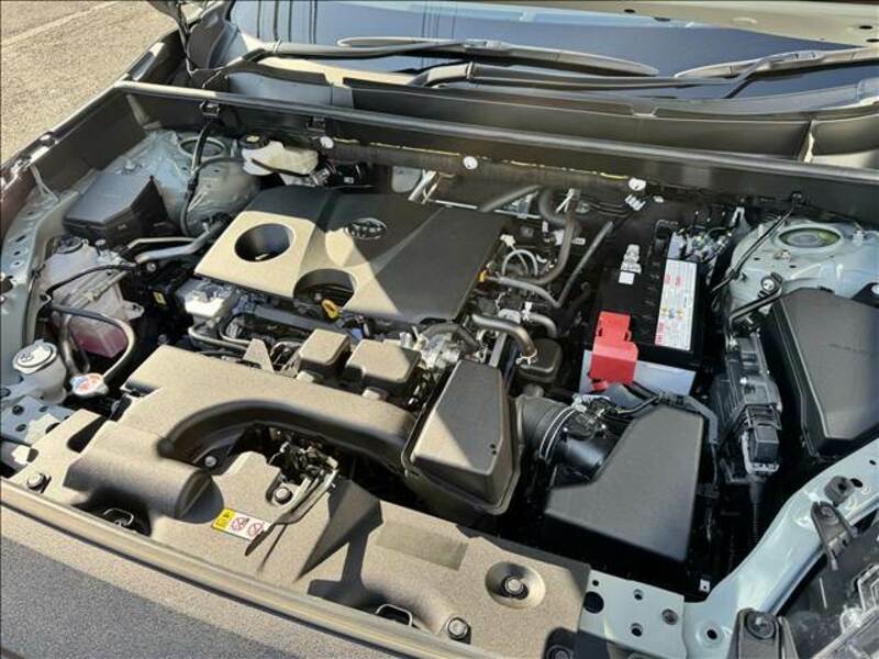 RAV4-19