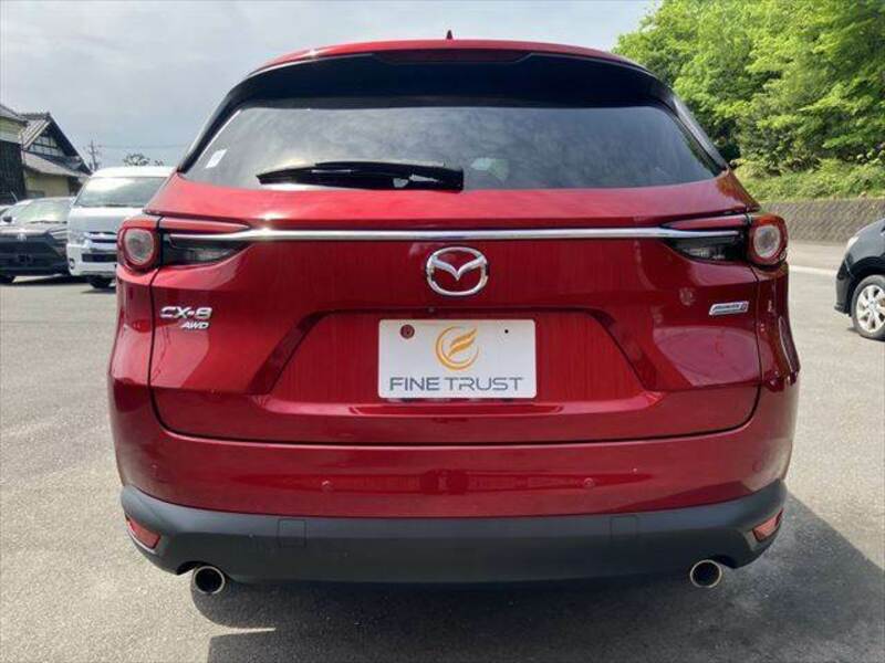 CX-8-19