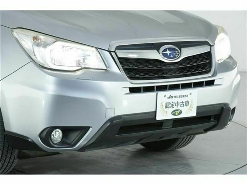 FORESTER-2