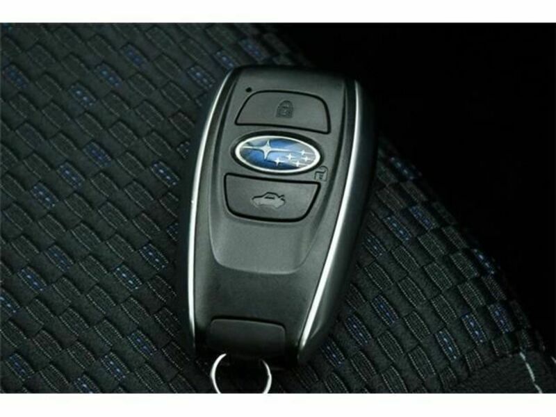 FORESTER-8
