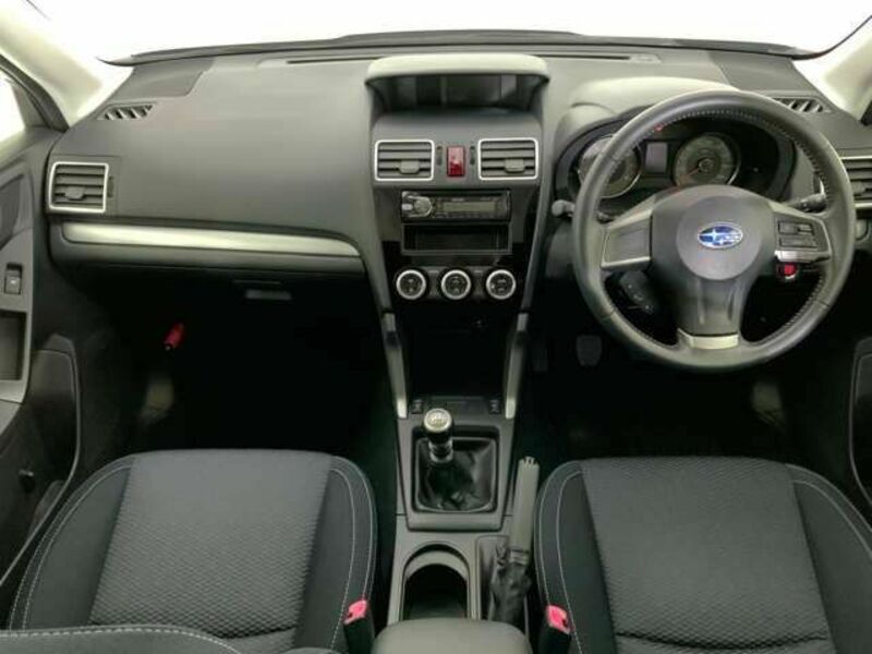 FORESTER-11
