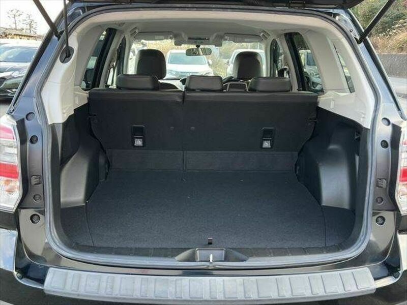 FORESTER-8