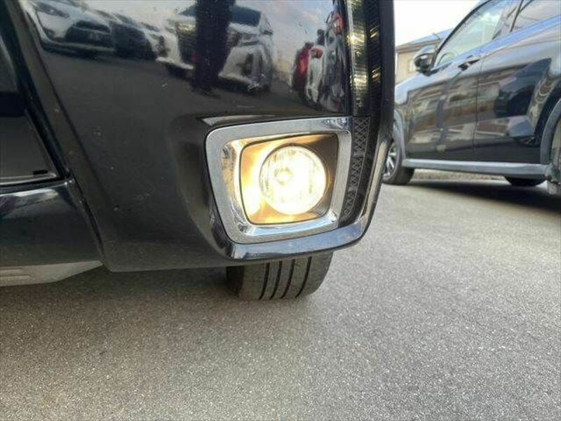 FORESTER-11