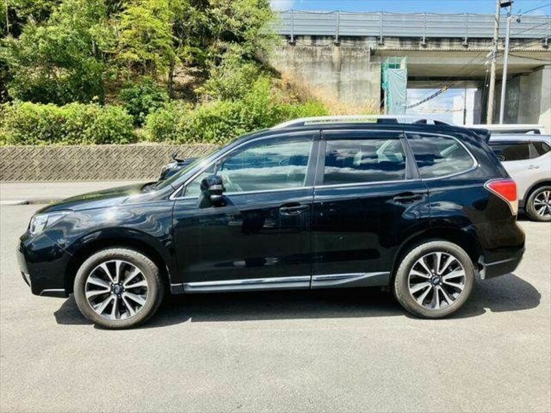 FORESTER-19