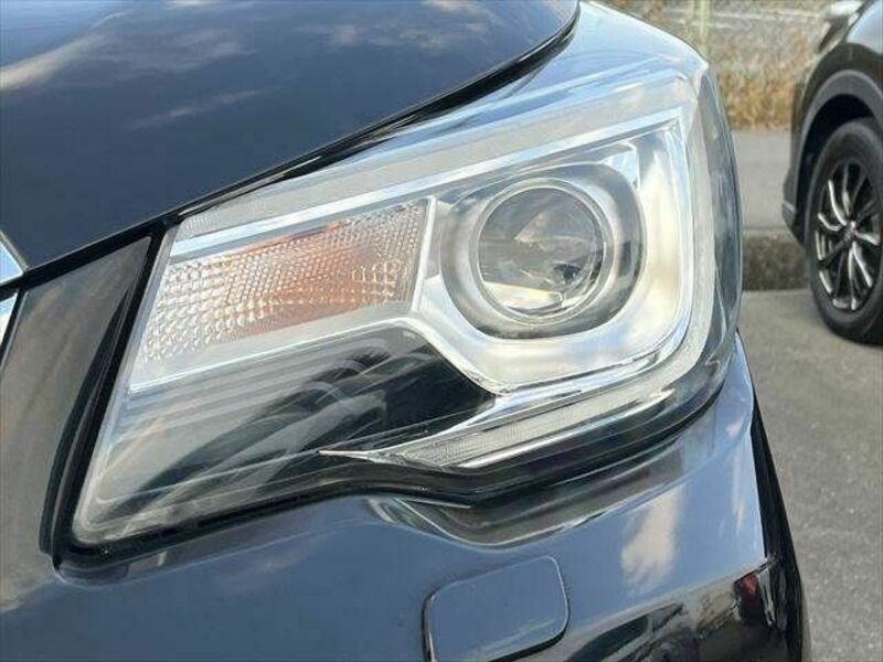 FORESTER-20