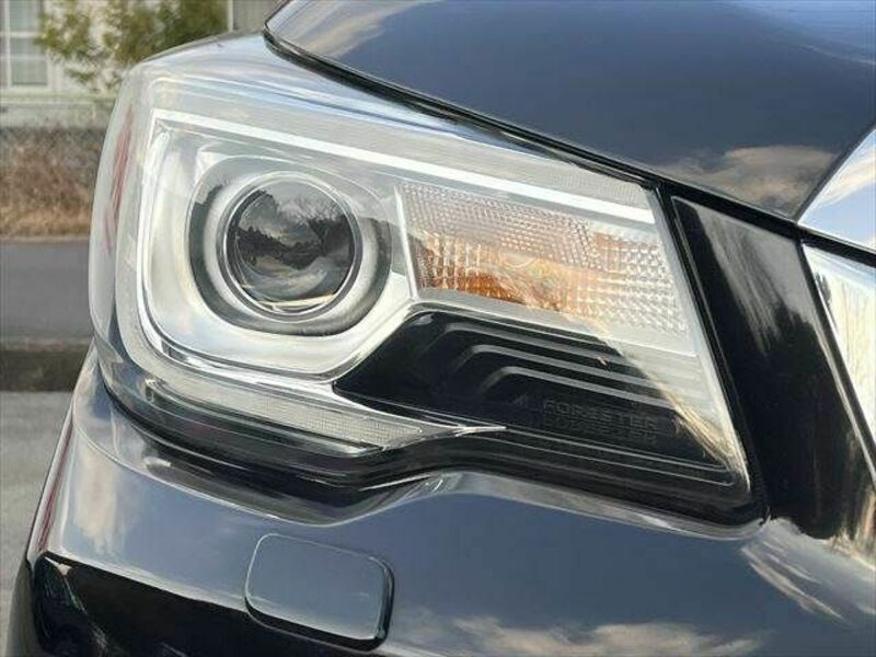 FORESTER-22