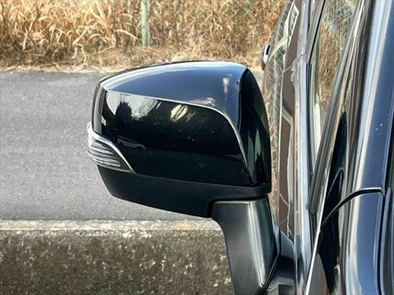 FORESTER-25