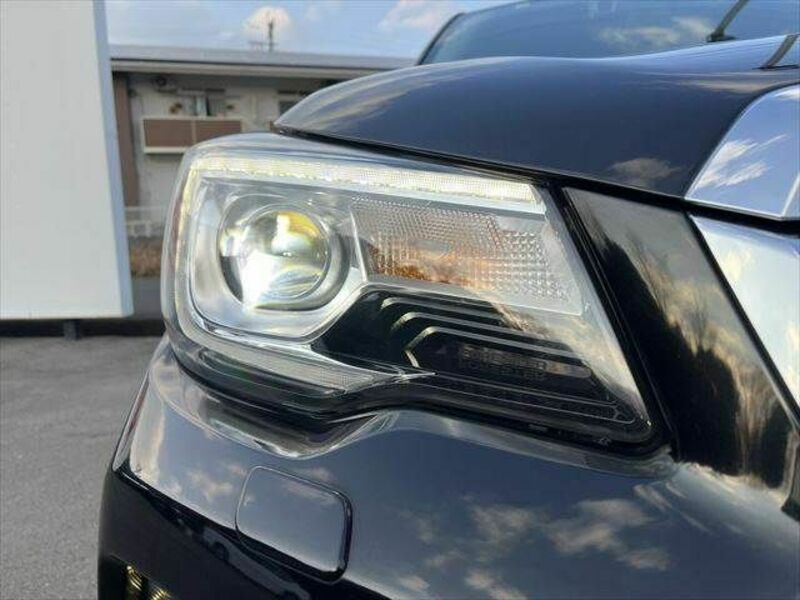 FORESTER-29