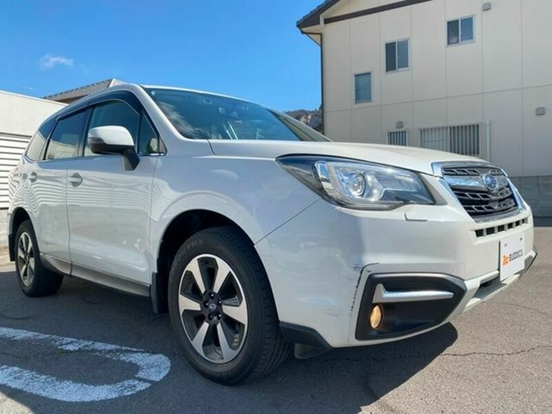 FORESTER-1