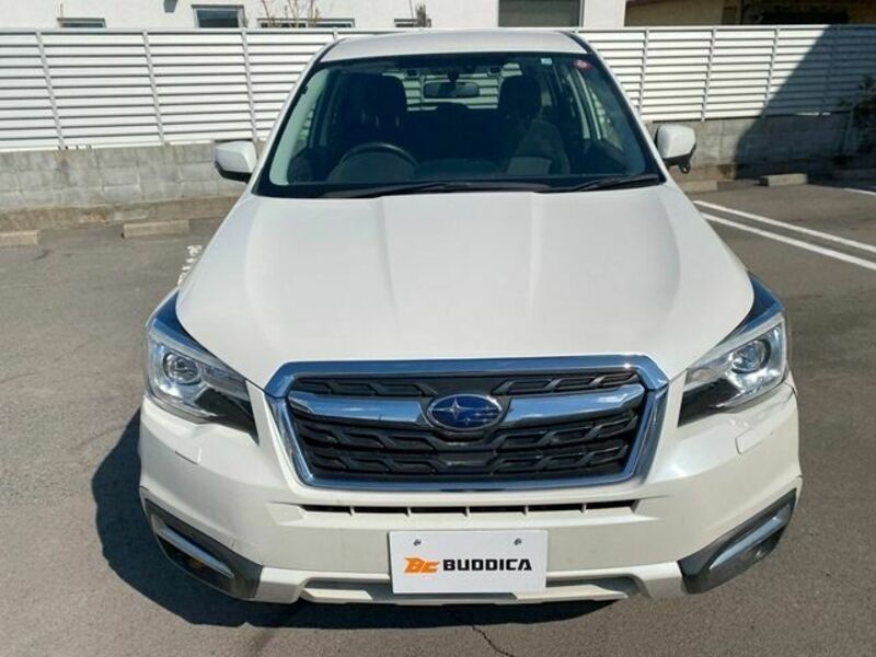 FORESTER-2