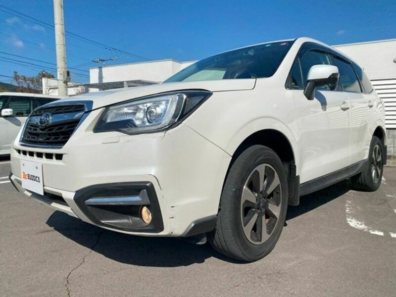 FORESTER-3