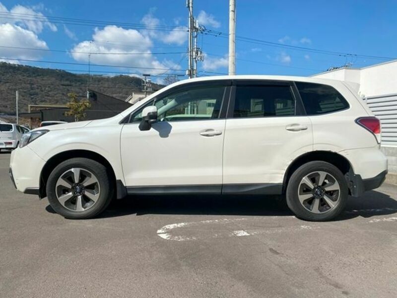 FORESTER-4
