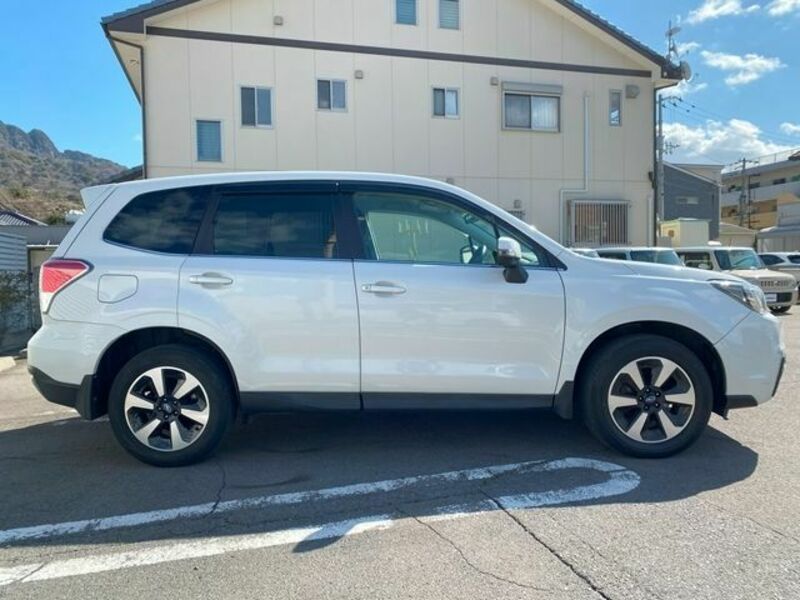 FORESTER-5