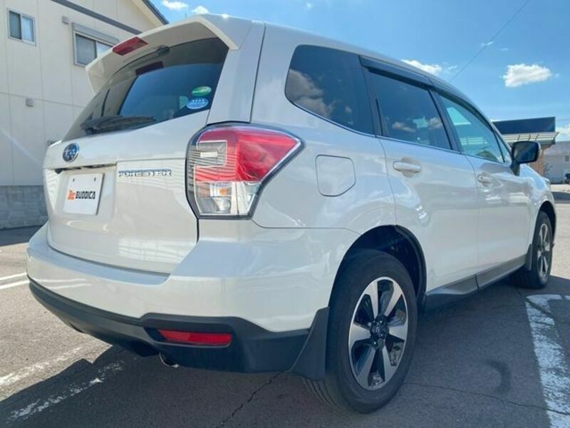 FORESTER-6