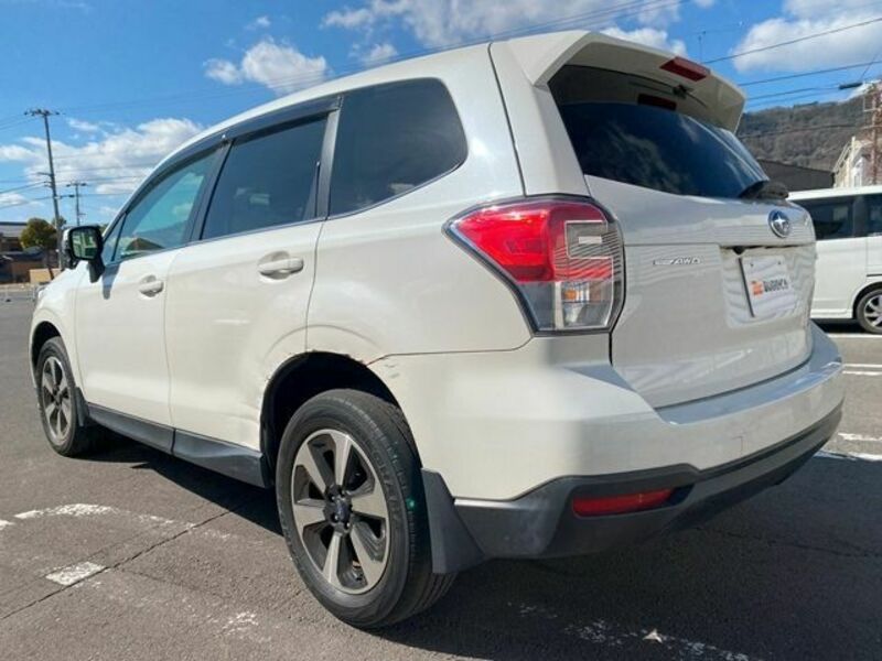 FORESTER-8