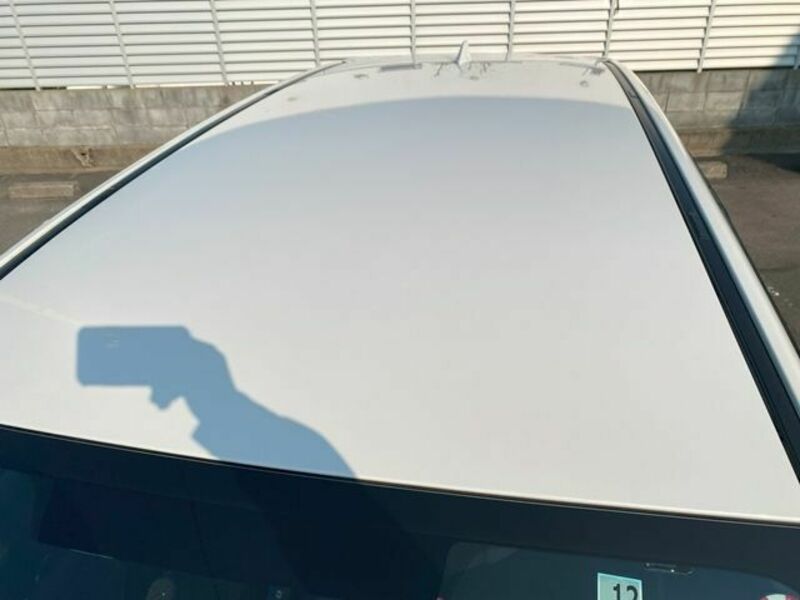 FORESTER-9