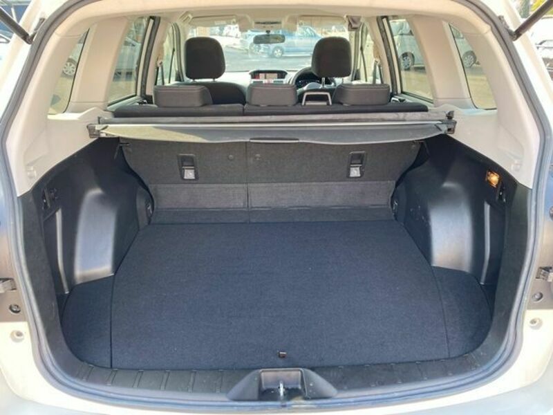 FORESTER-17