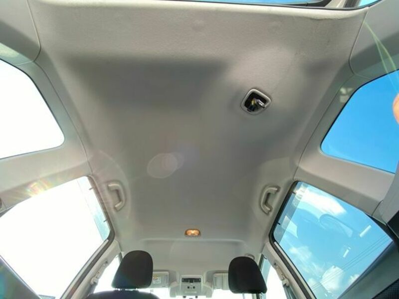 FORESTER-18