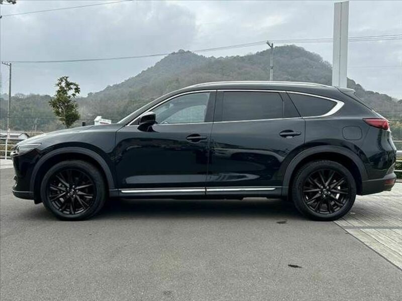 CX-8-10