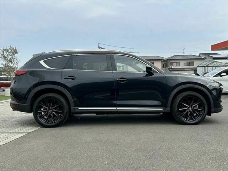 CX-8-11