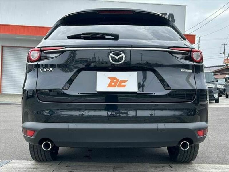 CX-8-13