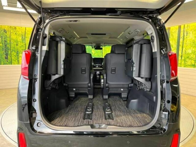 ALPHARD-11