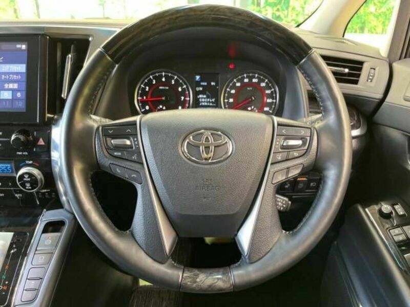 ALPHARD-12