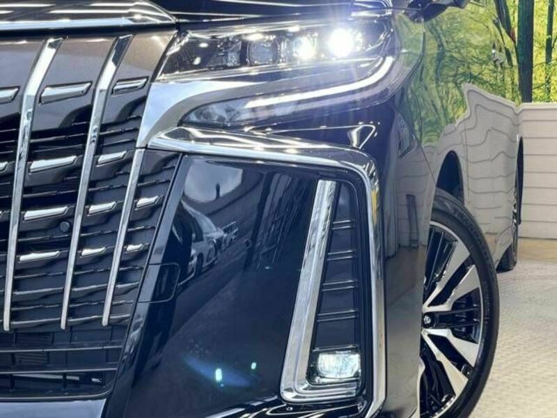 ALPHARD-14