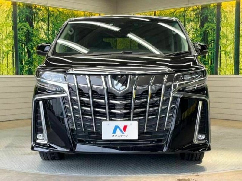 ALPHARD-15