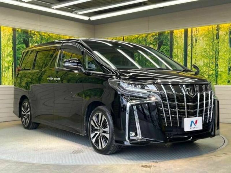 ALPHARD-17