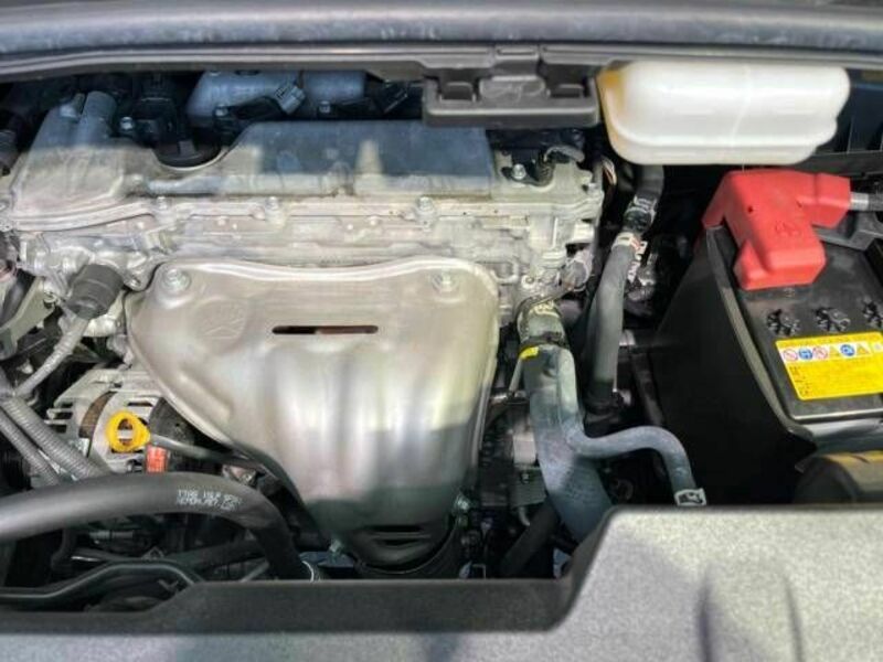 ALPHARD-18